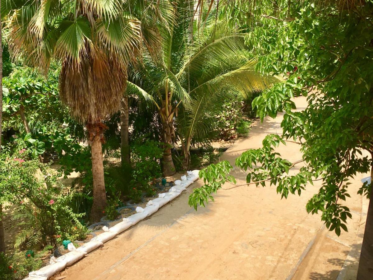 Hotel Rinconcito De Mazunte Santa María Tonameca 외부 사진